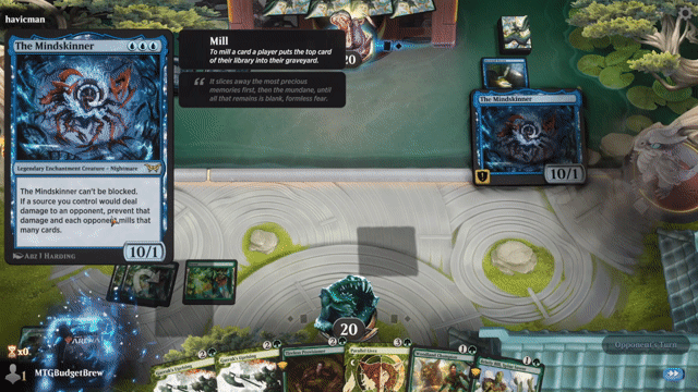 Watch MTG Arena Video Replay - Rogue by MTGBudgetBrew VS Mono Blue Mill by havicman - Historic Play