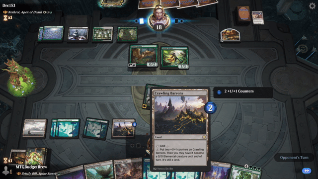 Watch MTG Arena Video Replay - Bristly Bill, Spine Sower by MTGBudgetBrew VS Nethroi, Apex of Death by Drc153 - Historic Brawl